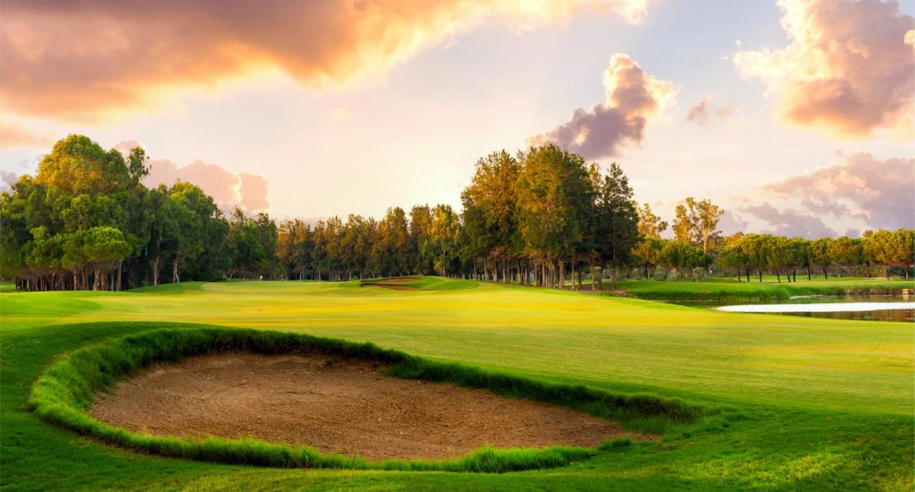 Perspectiva do Chipping Green Perspectiva do Chipping Green